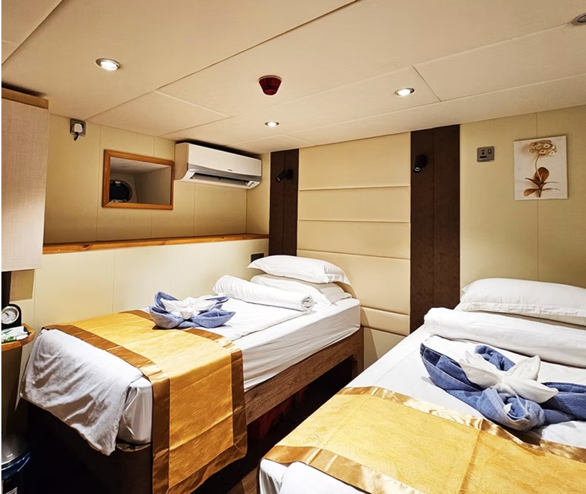 Luxury safari boat for sale in the Maldives - photo 14
